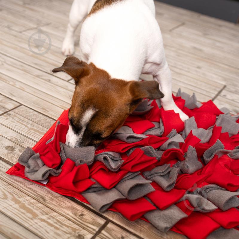 Нюхательный интерактивный коврик Fanny Animals квадратный МС 160401-02 - фото 8 Нюхательный интерактивный коврик Fanny Animals квадратный МС 160401-02 - фото 8