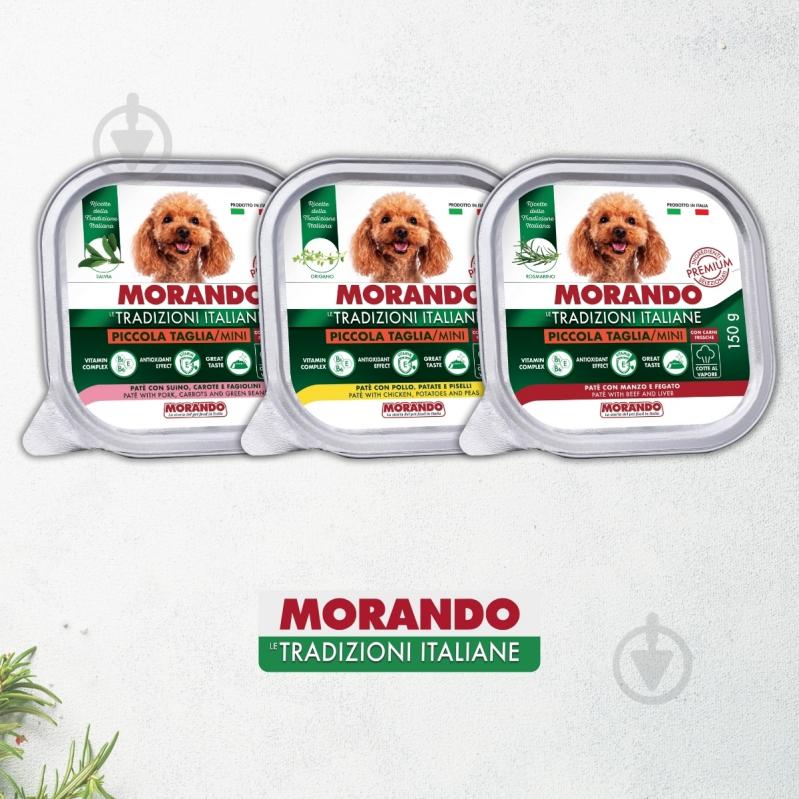 Корм влажный Morando Tradizioni для собак паштет с курицей, картофелем и горохом 150 г - фото 5 Корм влажный Morando Tradizioni для собак паштет с курицей, картофелем и горохом 150 г - фото 5