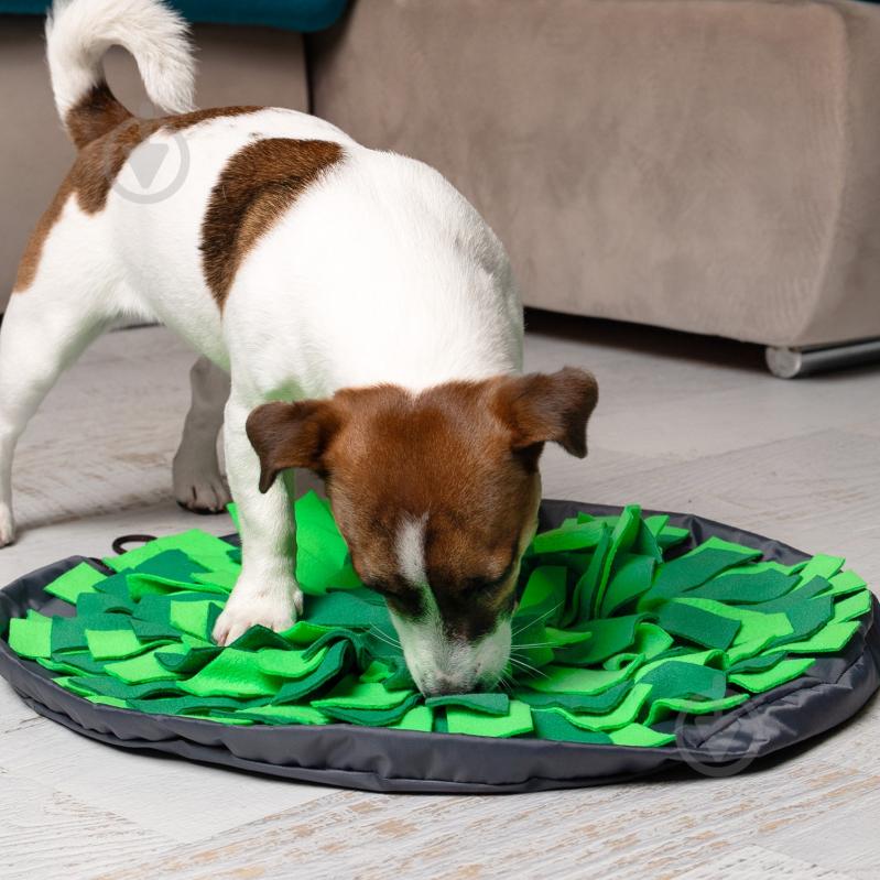 Нюхательный интерактивный коврик Fanny Animals круглый МС 160401-21 - фото 6 Нюхательный интерактивный коврик Fanny Animals круглый МС 160401-21 - фото 6