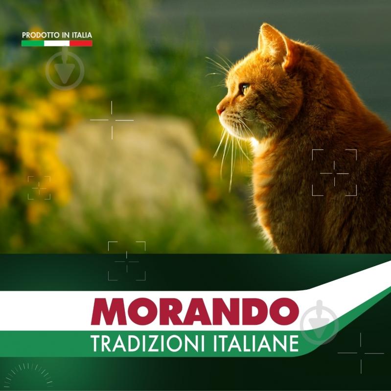 Корм вологий беззерновий для стерилізованих котів Morando Tradizioni Sterilized шматочки в желе з лососем та тунцем 85 г - фото 6