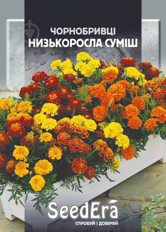 Суміш насіння SeedEra чорнобривці відхилені Низькоросла суміш 0,5 г (4823114401480) - фото 1