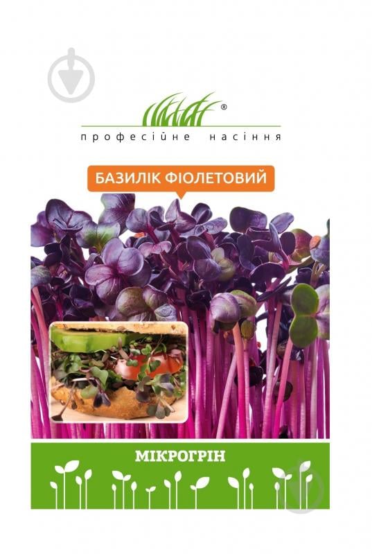 Семена Професійне насіння базилік базилика фиолетового 10 г (4820176697813) - фото 1