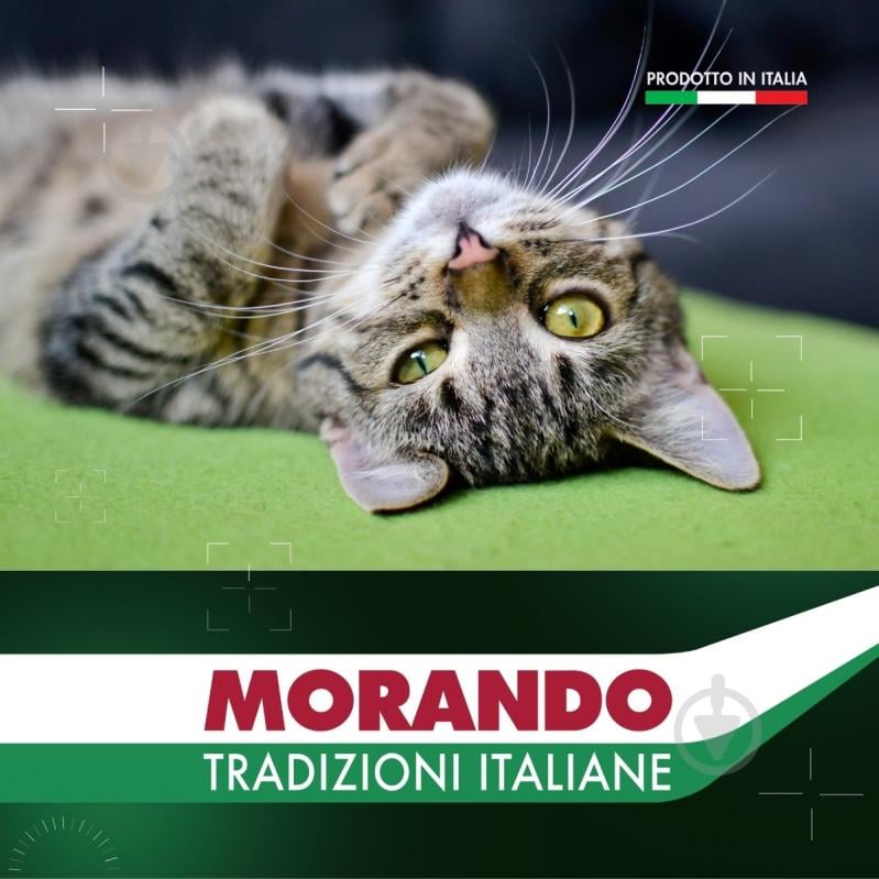 Корм вологий беззерновий для котів Morando Tradizioni паштет із яловичиною та печінкою 100 г - фото 6 Корм вологий беззерновий для котів Morando Tradizioni паштет із яловичиною та печінкою 100 г - фото 6