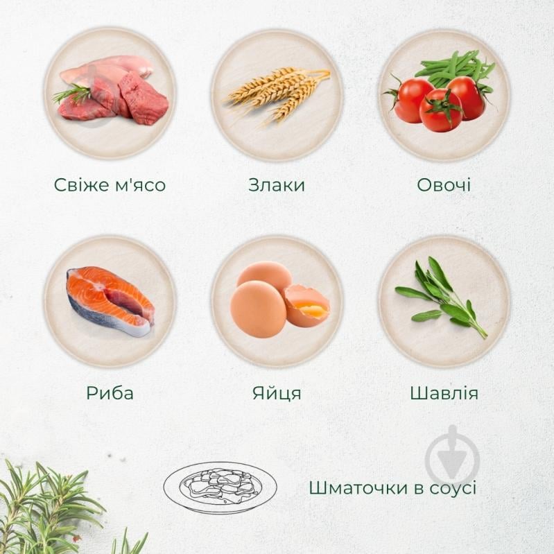 Корм влажный Morando Tradizioni для собак кусочки в соусе с курицей, стручковой фасолью и томатами 400 г - фото 3 Корм влажный Morando Tradizioni для собак кусочки в соусе с курицей, стручковой фасолью и томатами 400 г - фото 3