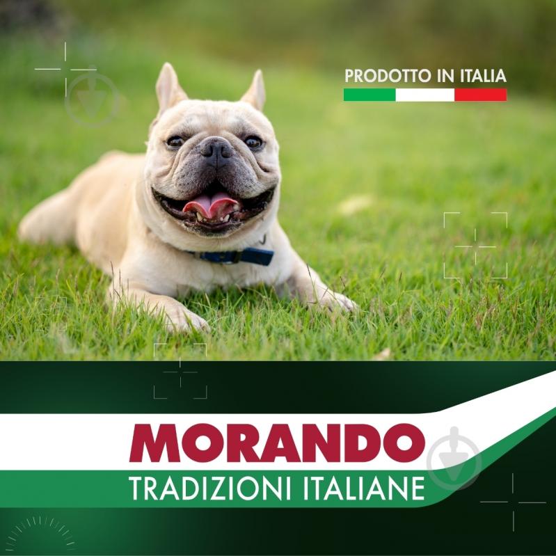 Корм влажный Morando Tradizioni для собак кусочки в соусе с курицей, стручковой фасолью и томатами 400 г - фото 6 Корм влажный Morando Tradizioni для собак кусочки в соусе с курицей, стручковой фасолью и томатами 400 г - фото 6