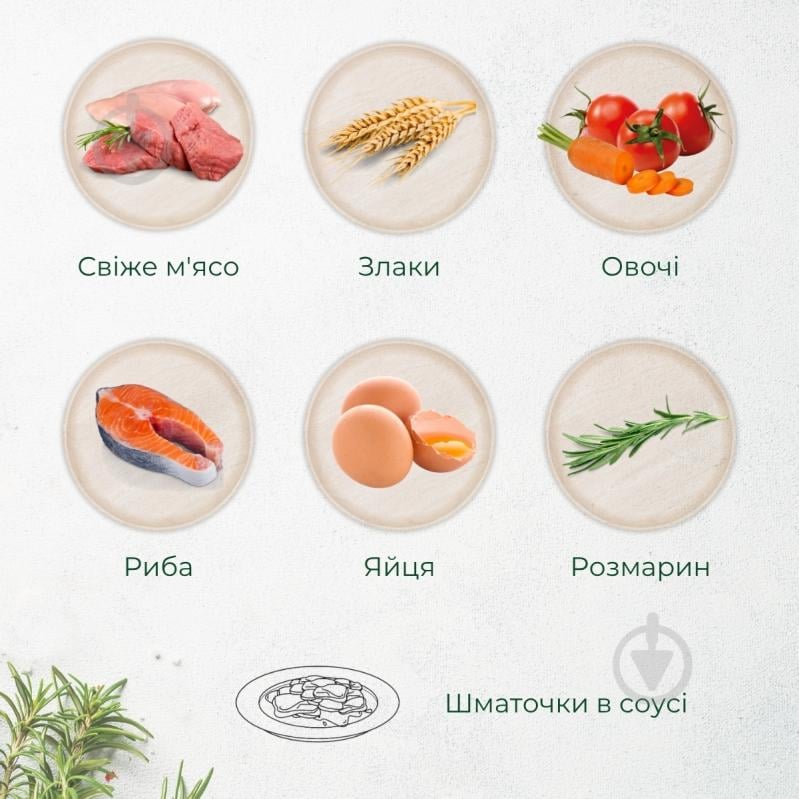 Корм влажный Morando Tradizioni для собак кусочки в соусе со свининой, морковью и картофелем 400 г - фото 3 Корм влажный Morando Tradizioni для собак кусочки в соусе со свининой, морковью и картофелем 400 г - фото 3