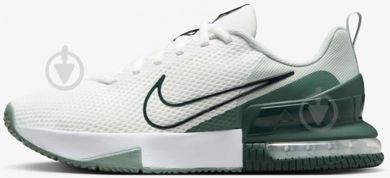 Кроссовки Nike AIR MAX ALPHA TRAINER 6 FQ1833-108 р.40 - фото 1