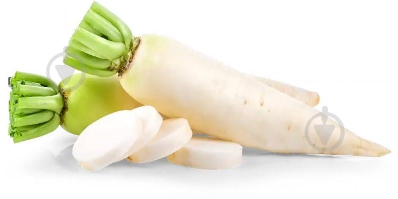 Редька Дайкон - фото 1 Редька Дайкон - фото 1
