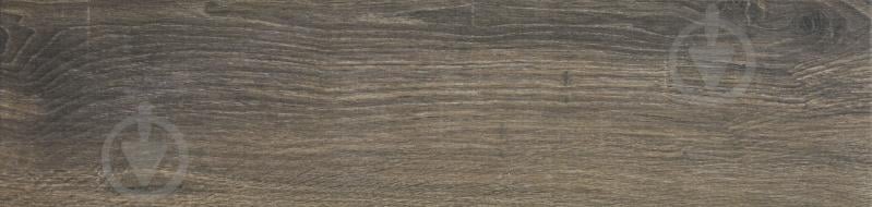 Плитка Allore Group Legenda Brown F PR NR Mat 1 15x60 см - фото 1