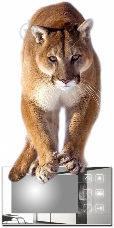 Видеодомофон InfiniteX mX 300 - фото 2 Видеодомофон InfiniteX mX 300 - фото 2