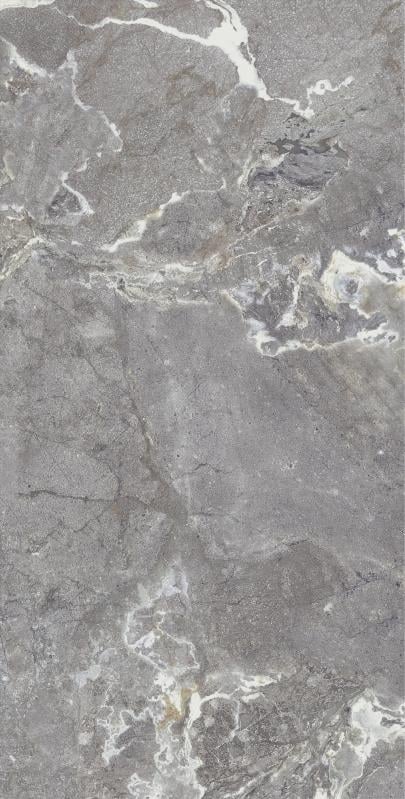 Плитка Allore Group Snake stone Grey F PC R Sugar 60x120 см - фото 1