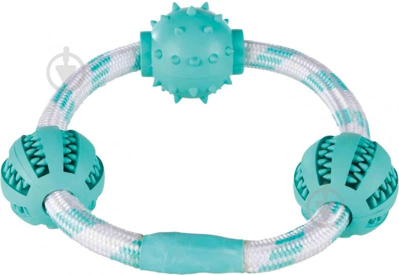 Игрушка для собак Trixie Denta Fun кольцо-канат с мячами для чистки зубов с мятой 20 см (33704) - фото 1 Игрушка для собак Trixie Denta Fun кольцо-канат с мячами для чистки зубов с мятой 20 см (33704) - фото 1
