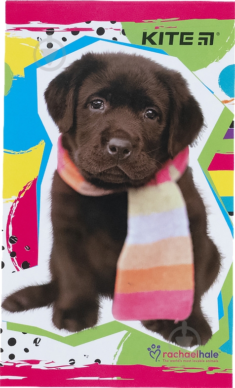 Блокнот планшет R21-195 KITE - фото 1