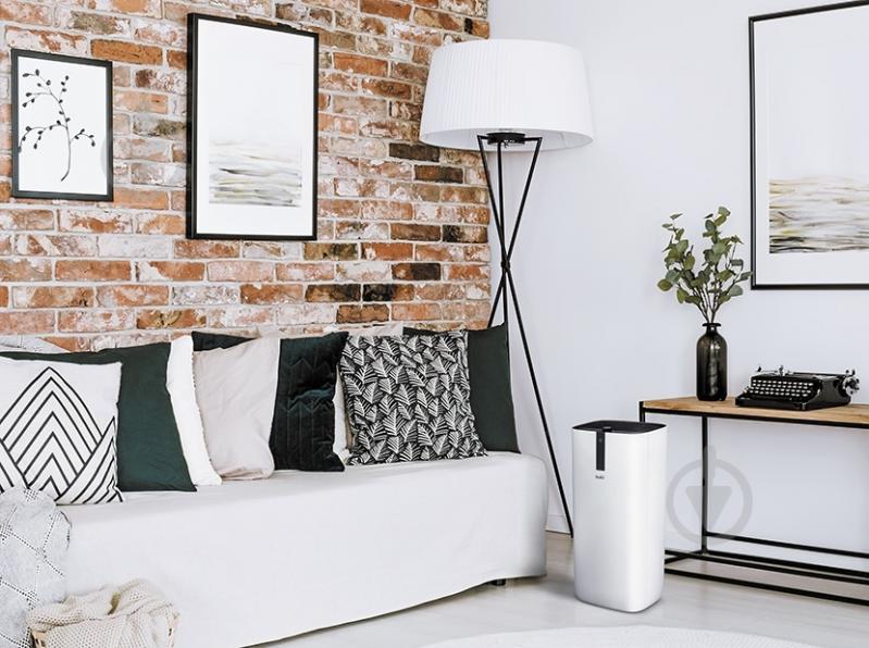 Очиститель воздуха Ballu AP-107 - фото 3 Очиститель воздуха Ballu AP-107 - фото 3