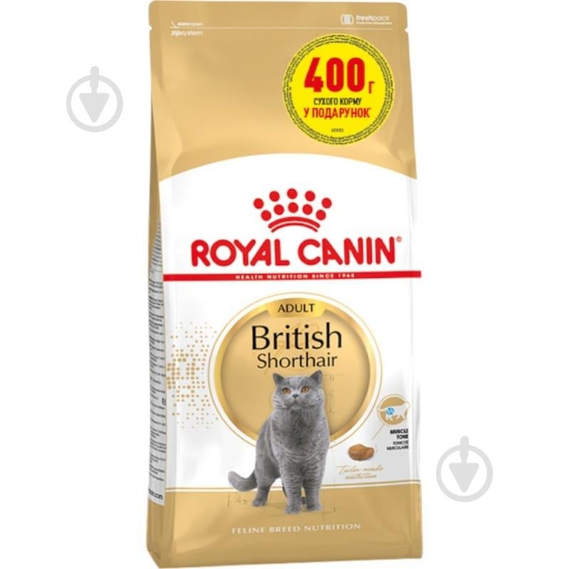 Корм сухий для котів Royal Canin Brit Shorthair 2 кг - фото 1 Корм сухий для котів Royal Canin Brit Shorthair 2 кг - фото 1