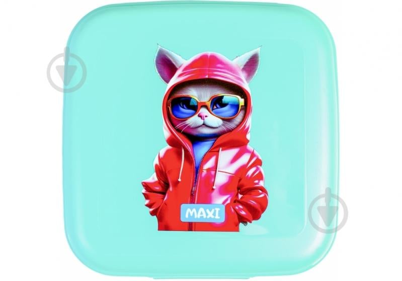 Ланч-бокс Maxi 850 мл MX98141 - фото 1