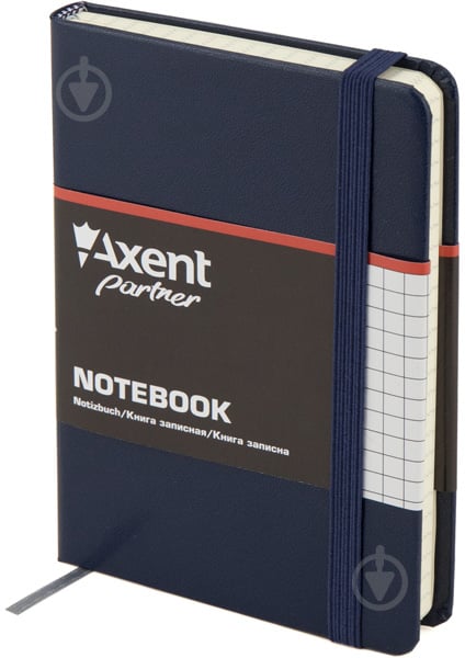 Книга для записей Partner, 95 * 140, 96л, клет, синяя Axent - фото 1