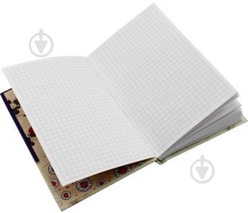 Блокнот твердая обл. А6, 80арк. кл, PM Axent - фото 5