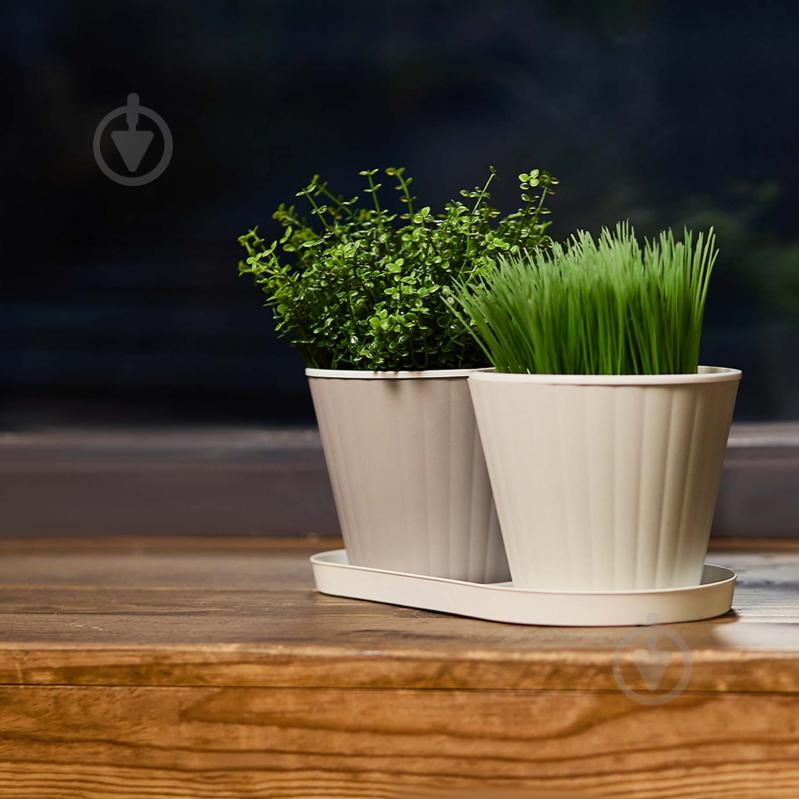 Горщик пластиковий Алеана Ібіс з подвійним дном 15,7x13,0 см круглий 1,7 л біла троянда/білий (114034) - фото 6