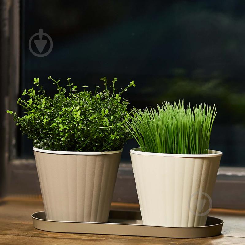 Горщик пластиковий Алеана Ібіс з подвійним дном 15,7x13,0 см круглий 1,7 л біла троянда/білий (114034) - фото 2