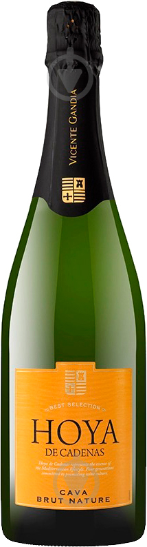 Вино игристое Cava Brut Nature брют белое 0,75 л - фото 1