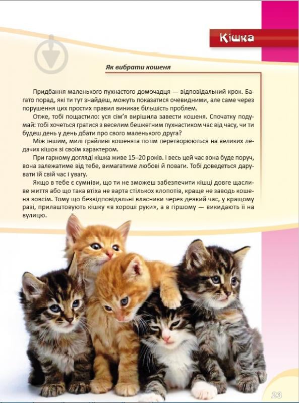 Книга «Домашні улюбленці. Перша шкільна енциклопедія» 9789177282319 - фото 2