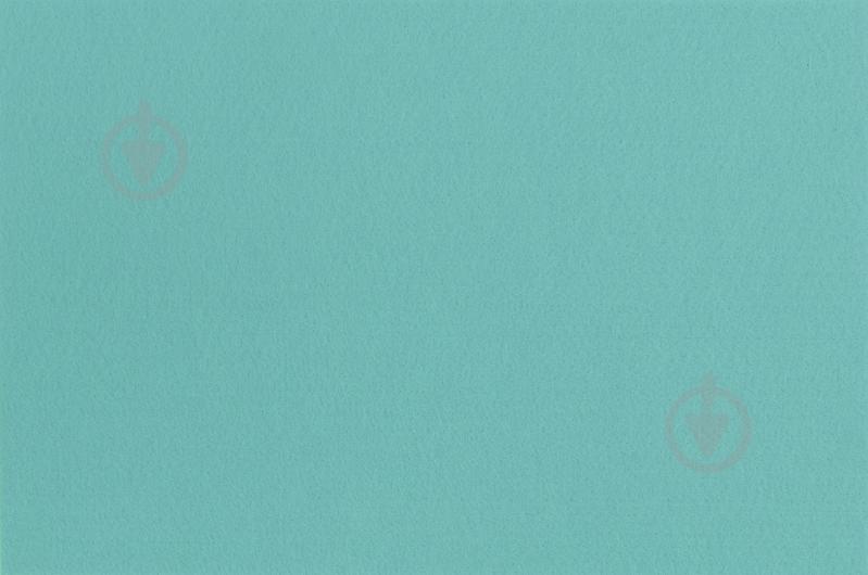 Коврик для сервировки Menthol 30х45 см фетр - фото 1