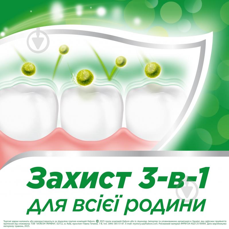 Aquafresh Мягко-мятная 100 мл 115 г - фото 3