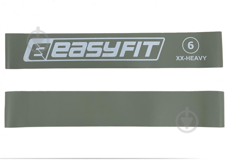 Резинка для фитнеса EasyFit #6 25 кг EF-1813 серый - фото 2