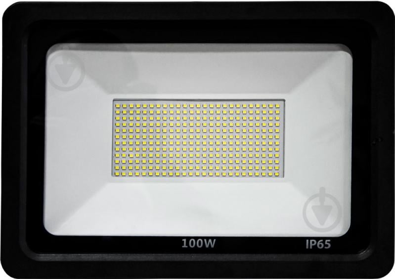 Прожектор Hopfen TA 11 LED 100 Вт IP65 черный - фото 2