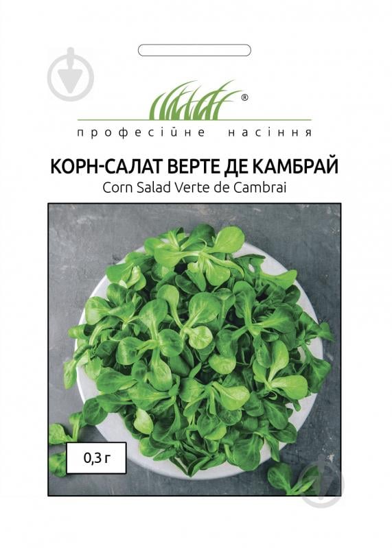 Насіння Професійне насіння салат-бебі Верте де Камбрай 0,3 г (4820176696205) - фото 1