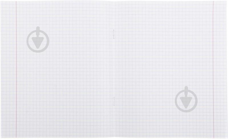 Тетрадь школьная 18 листов в клетку 2 Nota Bene - фото 4 Тетрадь школьная 18 листов в клетку 2 Nota Bene - фото 4