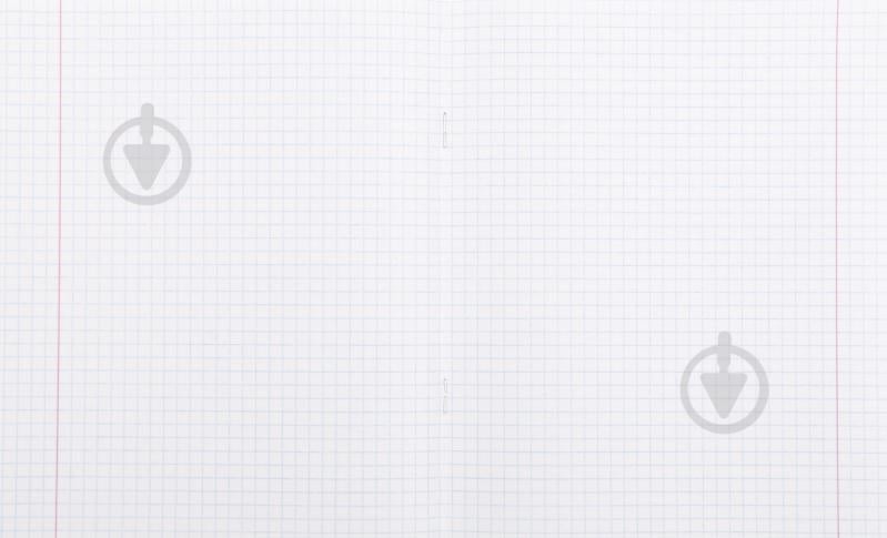 Тетрадь школьная 24 листа в клетку 2 Nota Bene - фото 3