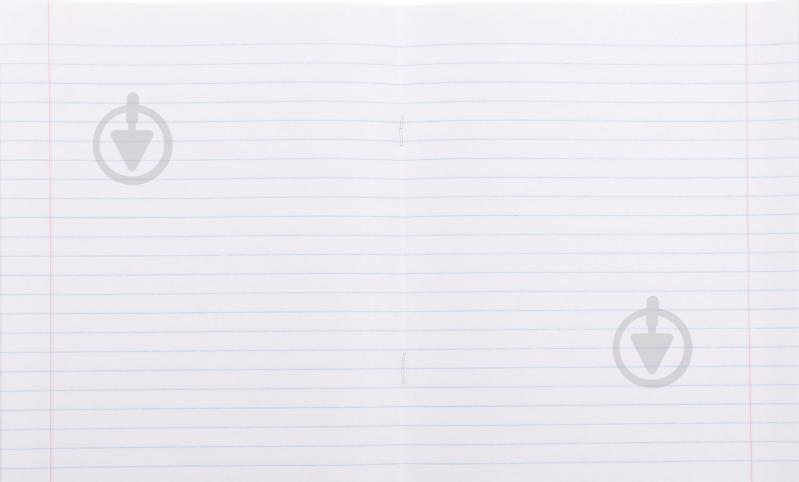 Тетрадь школьная 24 листа в линию 2 Nota Bene - фото 3