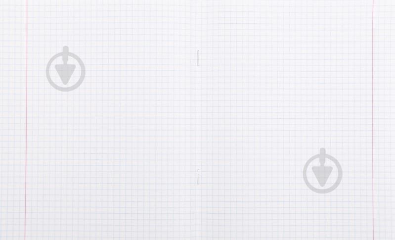 Тетрадь школьная 96 листов в клетку 2 Nota Bene - фото 3 Тетрадь школьная 96 листов в клетку 2 Nota Bene - фото 3