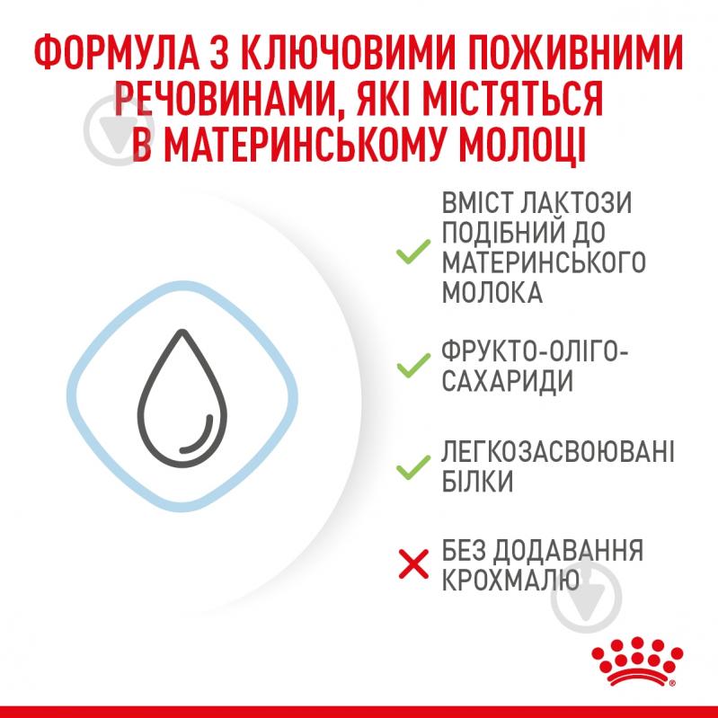 Корм сухий для цуценят для усіх порід Royal Canin Babydog Milk 2 кг - фото 5 Корм сухий для цуценят для усіх порід Royal Canin Babydog Milk 2 кг - фото 5