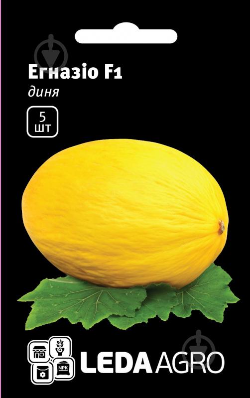 Насіння LedaAgro диня Егназіо F1 5 шт. (4820119796474) - фото 1