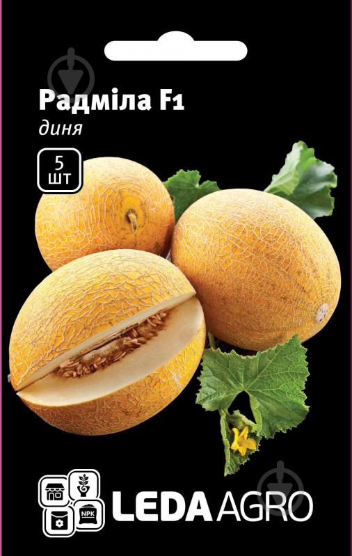 Семена LedaAgro дыня Радмила F1 5 шт. (4820119792933) - фото 1