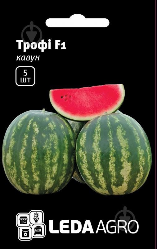 Насіння LedaAgro кавун Трофі F1 5 шт. (4820119792223) - фото 1