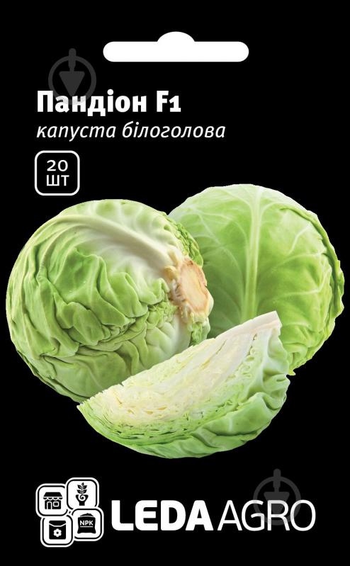 Насіння LedaAgro капуста білоголова Пандіон F1 20 шт. (4820119790212) - фото 1