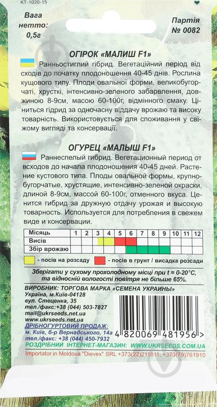 Насіння огірок Малиш F1 0,5 г Насіння України - фото 2 Насіння огірок Малиш F1 0,5 г Насіння України - фото 2