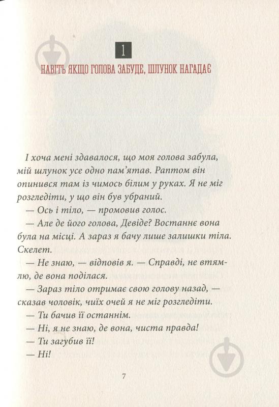 Книга Бйорн Сортланн «Таємниця Нью-Йорка» 978-617-7537-53-2 - фото 11