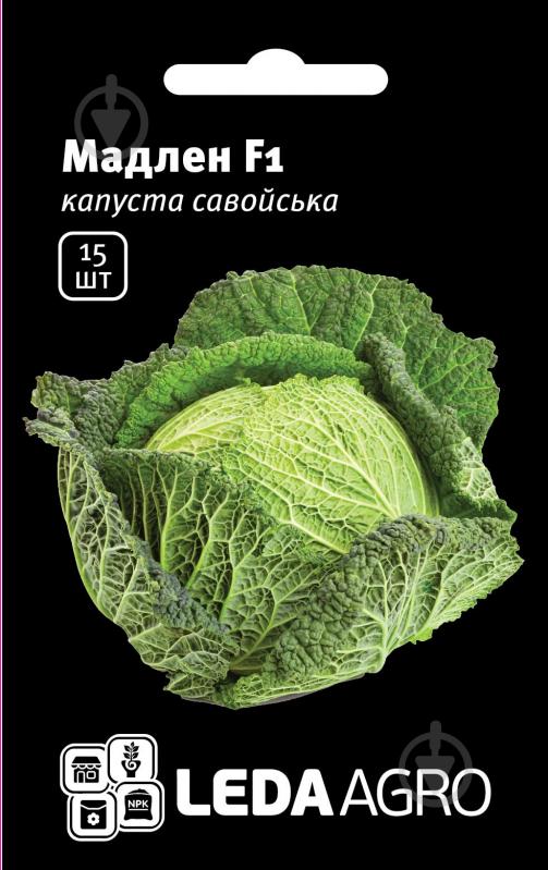 Семена LedaAgro капуста савойская Мадлен F1 15 шт. (4820119796566) - фото 1