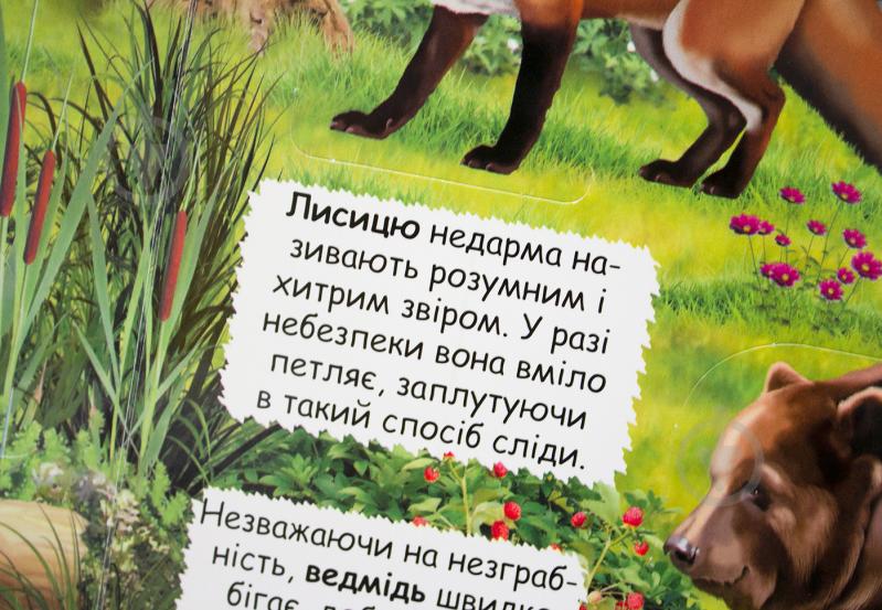 Книга «Книжка з секретними віконцями. Відкрий та дізнайся. Тварини планети Земля» 978-966-936-950-5 - фото 9