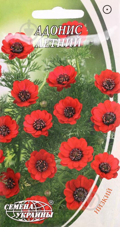 Насіння Насіння України адоніс 1 г - фото 1
