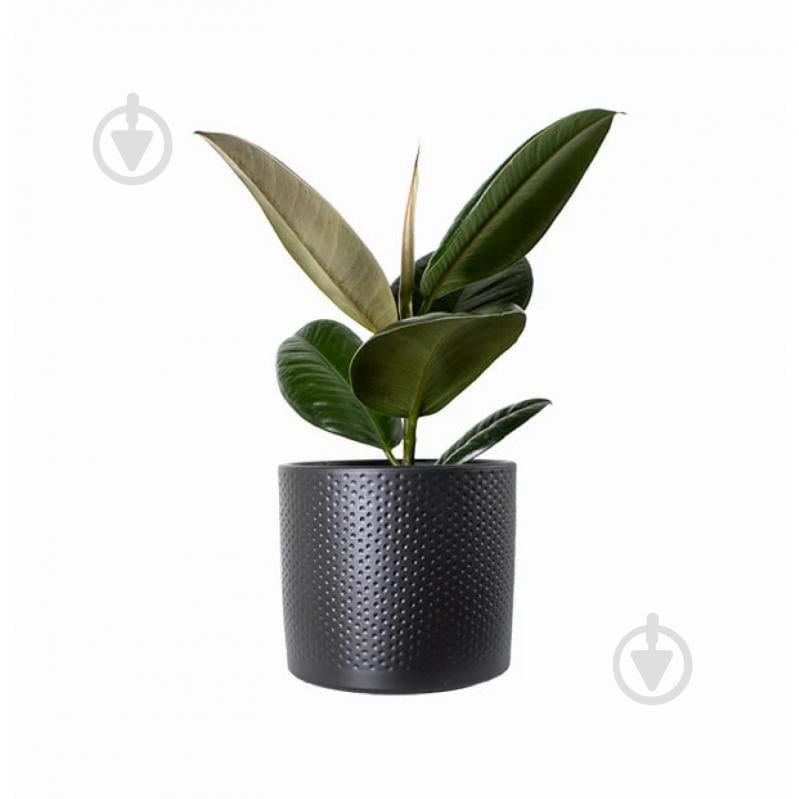 Вазон керамика Era pot round 13,5х12,5 см круглый черный матовый 1,5 л Edelman (1051637) - фото 2