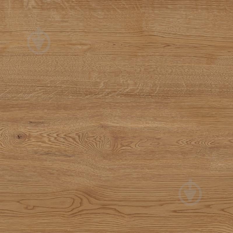 Плитка Allore Group Armario Honey F PCR R Mat 60х60 см - фото 3 Плитка Allore Group Armario Honey F PCR R Mat 60х60 см - фото 3