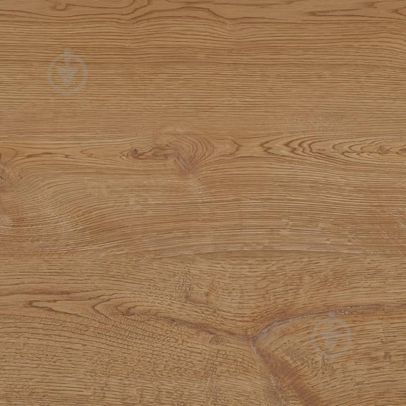 Плитка Allore Group Armario Honey F PCR R Mat 60х60 см - фото 5 Плитка Allore Group Armario Honey F PCR R Mat 60х60 см - фото 5