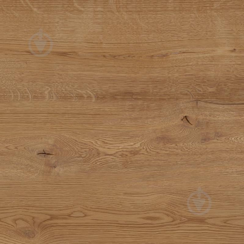 Плитка Allore Group Armario Honey F PCR R Mat 60х60 см - фото 6 Плитка Allore Group Armario Honey F PCR R Mat 60х60 см - фото 6