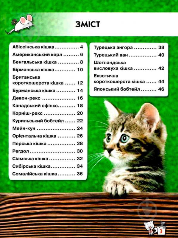 Книга Тамара Протасовицька «Світ навколо нас. Кішки» 978-966-936-750-1 - фото 3